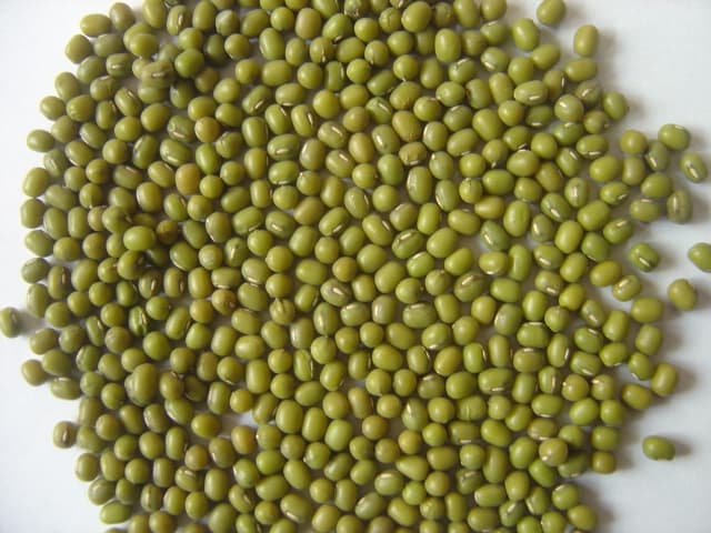 Green Mung Beans_ Super Quality__